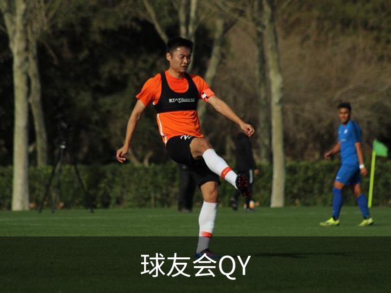 球友会QY概况